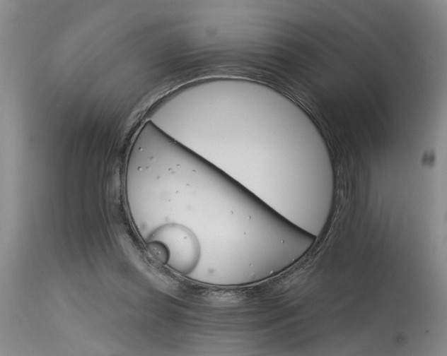 X0000115630349200911101443
