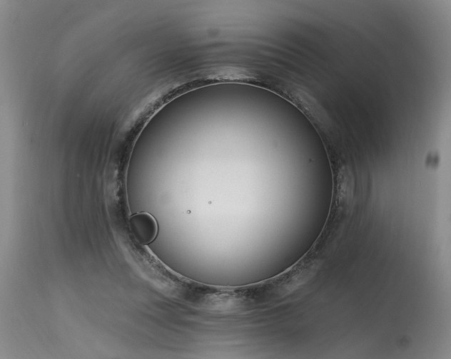 X0000115630351200911101443