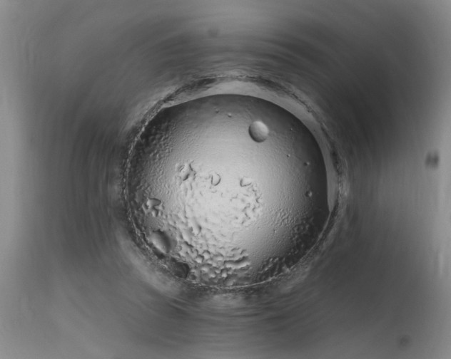 X0000115630353200911101443