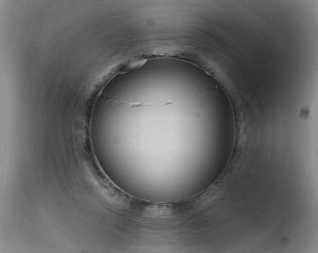 X0000115630354200911101443