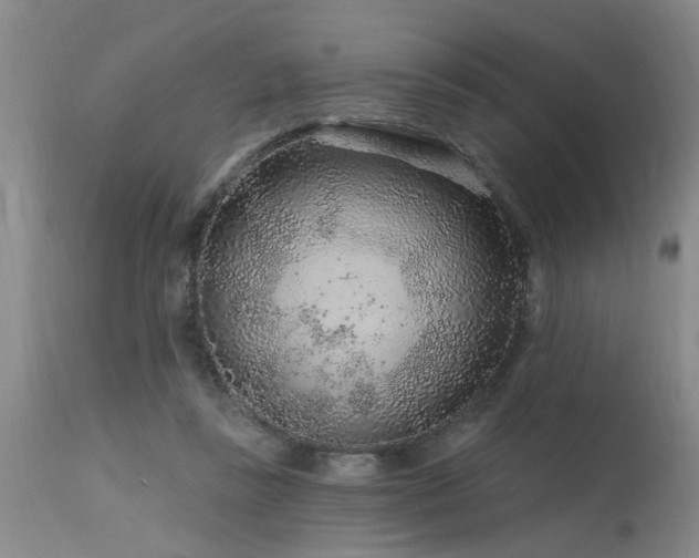 X0000115630355200911101443