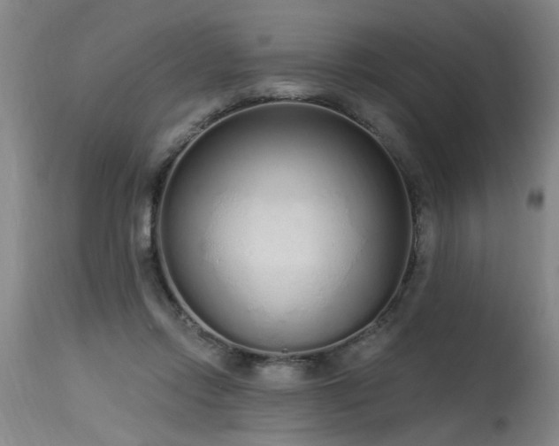 X0000115630358200911101443