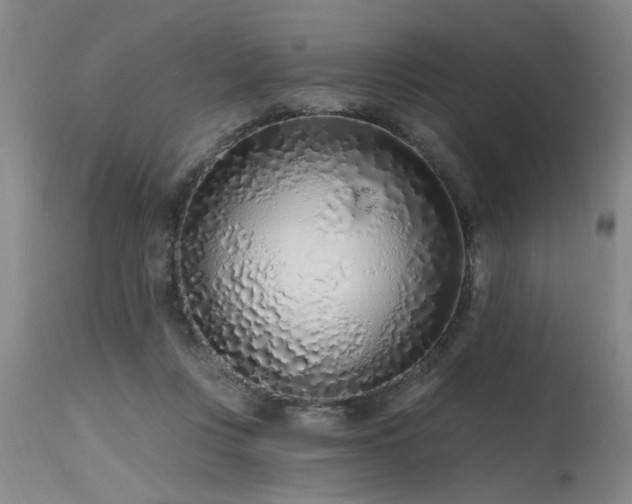 X0000115630359200911101443