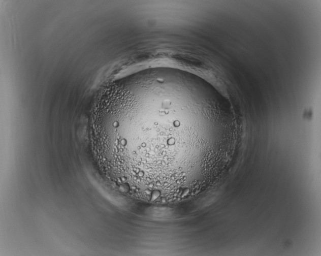 X0000115630361200911101443