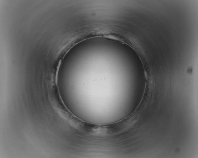 X0000115630362200911101443