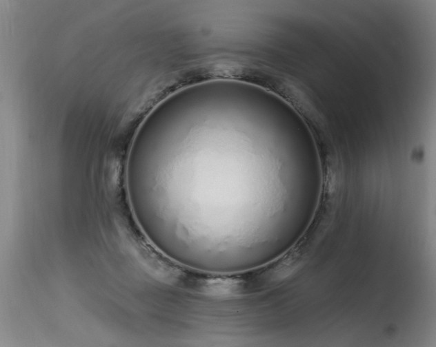 X0000115630363200911101443