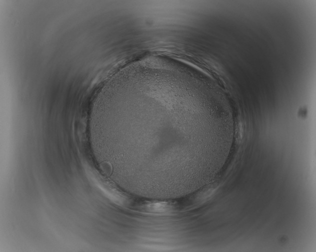 X0000115630365200911101443