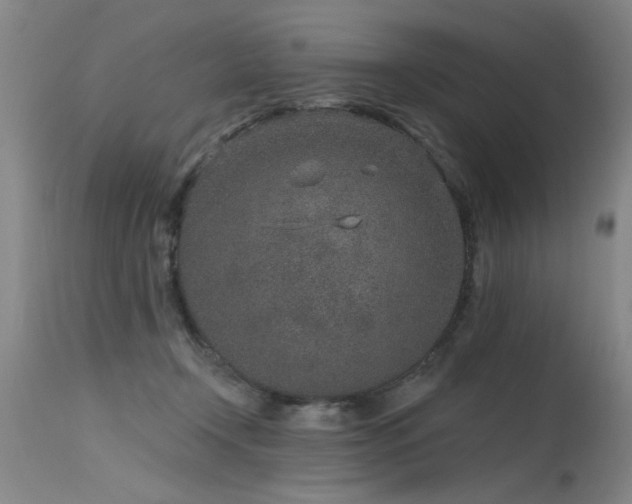 X0000115630366200911101443