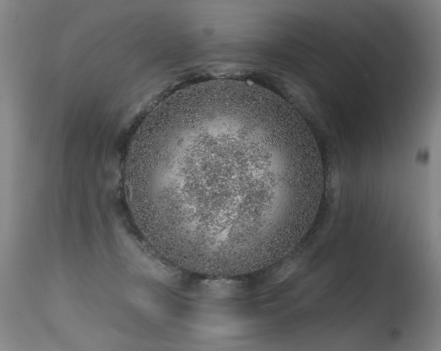X0000115630367200911101443