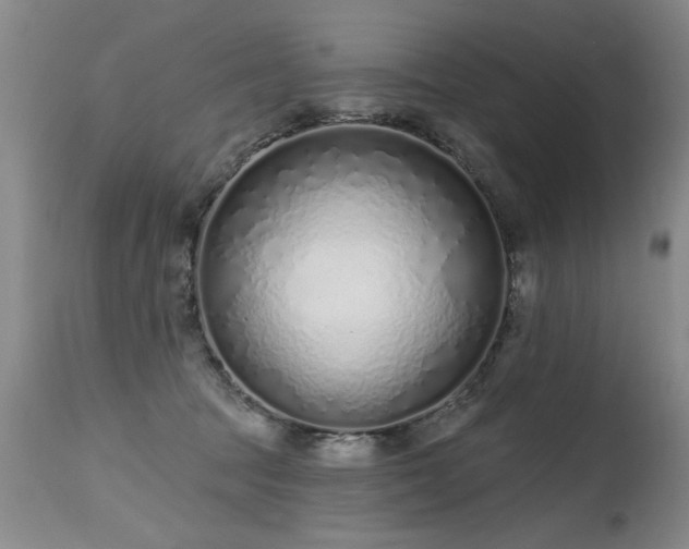 X0000115630369200911101443