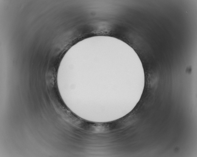 X0000115630370200911101443