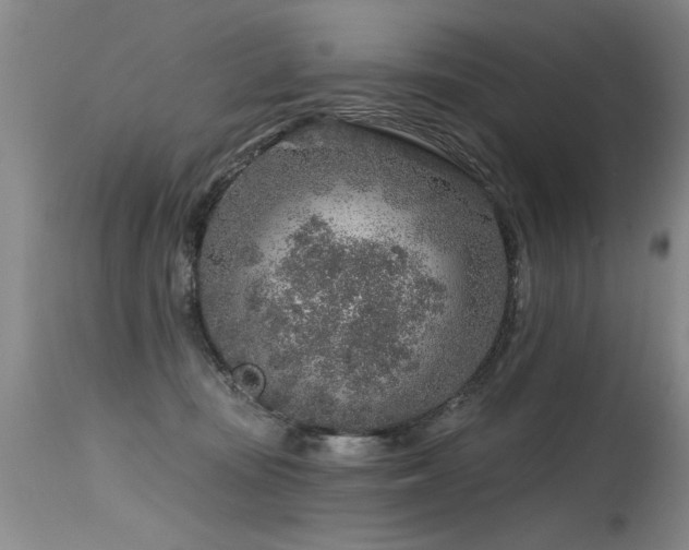 X0000115630371200911101443