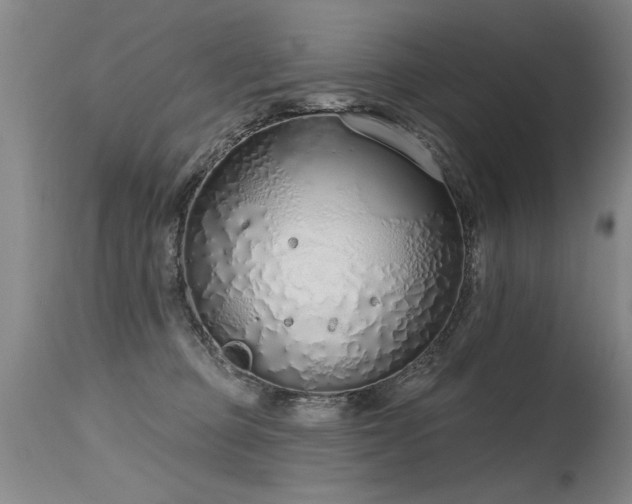 X0000115630373200911101443