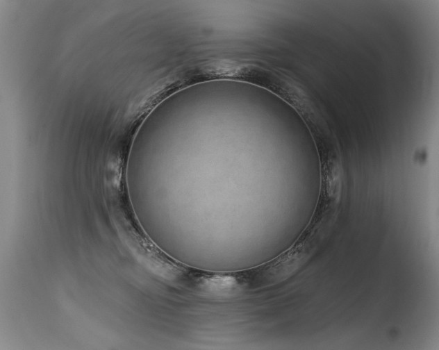 X0000115630374200911101443