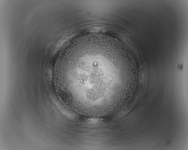 X0000115630375200911101443