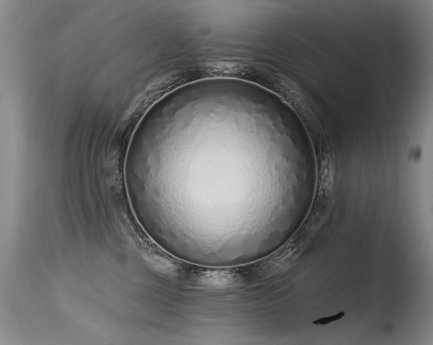 X0000115630377200911101443