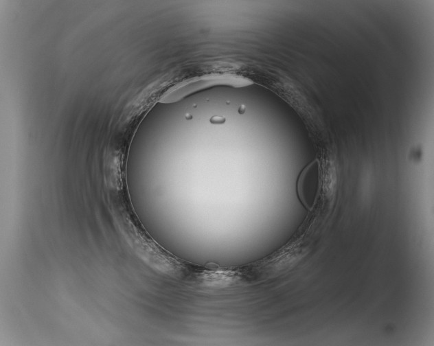 X0000115630378200911101443