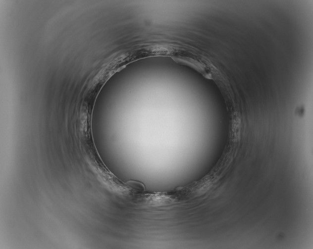 X0000115630379200911101443