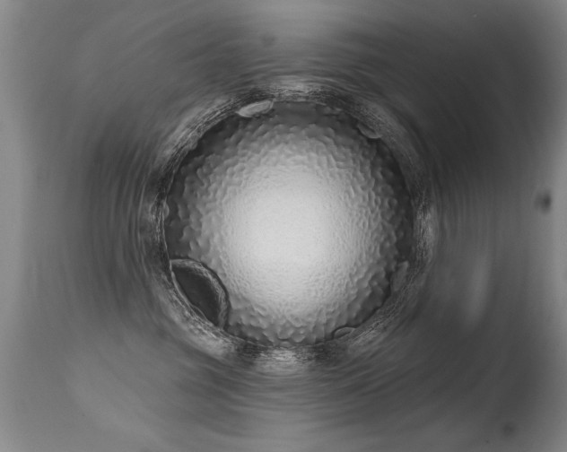X0000115630381200911101443