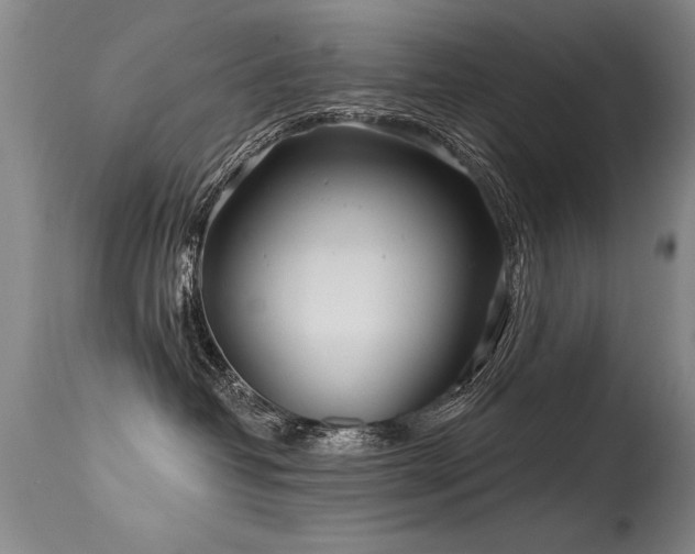 X0000115630382200911101443