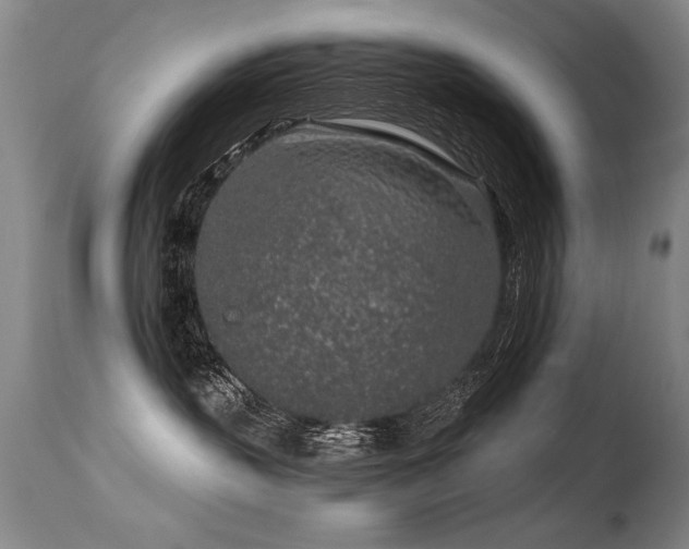 X0000115630383200911101443