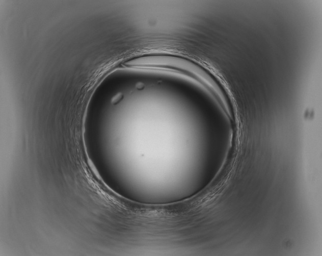 X0000115630385200911101442