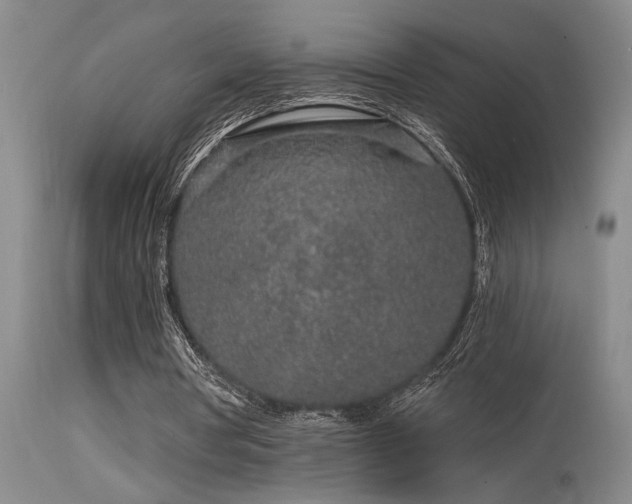 X0000115630386200911101442