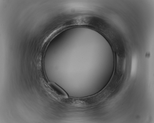 X0000115630387200911101442