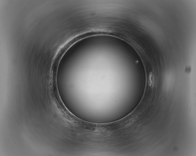 X0000115630388200911101442