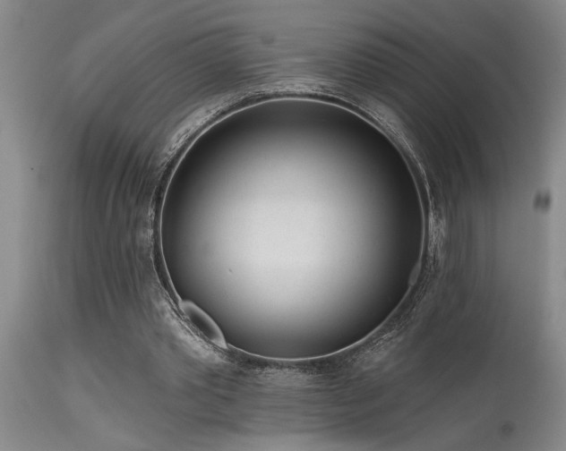 X0000115630389200911101442