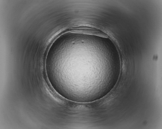 X0000115630390200911101442