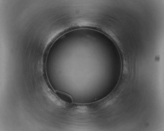 X0000115630391200911101442