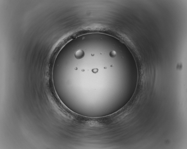 X0000115630392200911101442