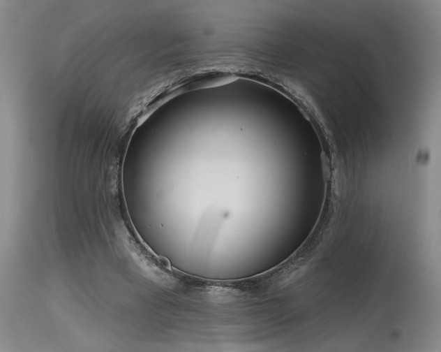 X0000115630393200911101442