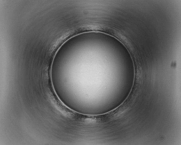 X0000115630394200911101442
