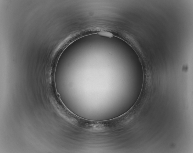 X0000115630395200911101442
