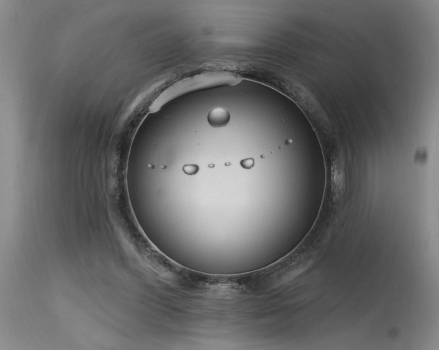 X0000115630396200911101442