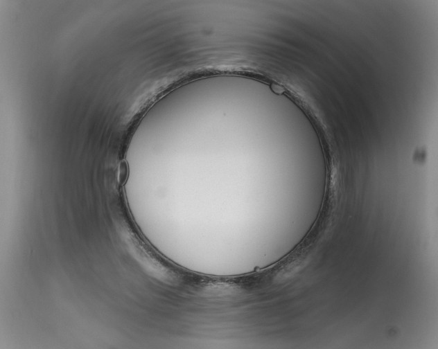X0000115630397200911101442