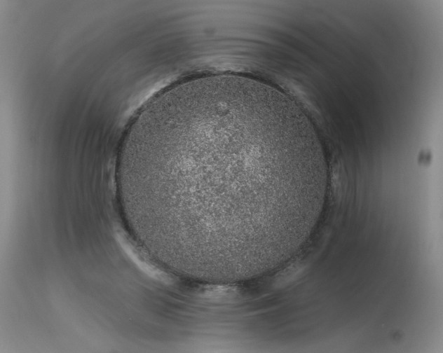 X0000115630398200911101442