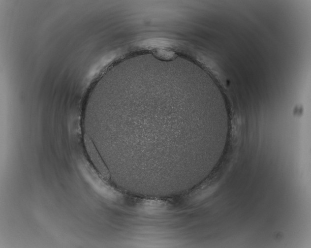 X0000115630399200911101442