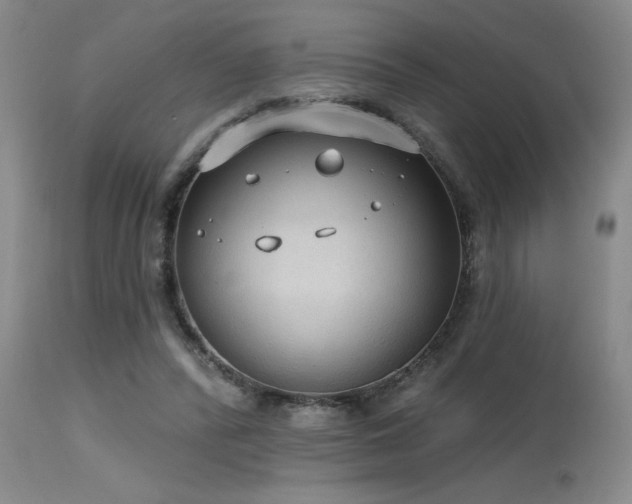 X0000115630400200911101442