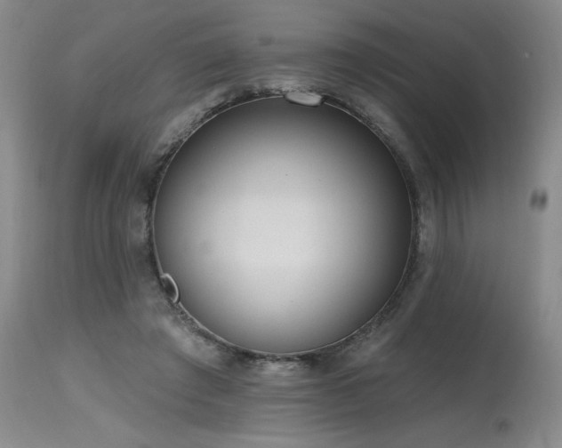 X0000115630401200911101442