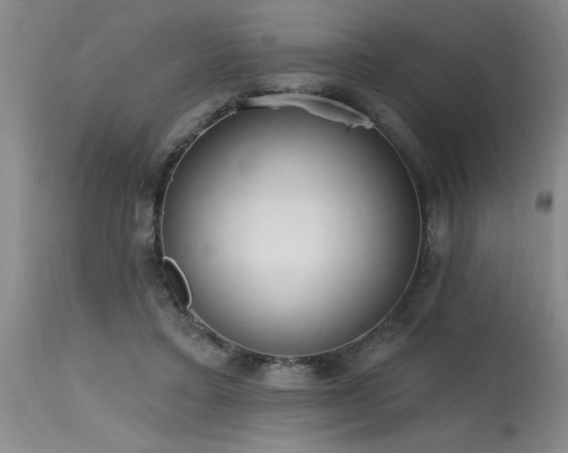 X0000115630403200911101442