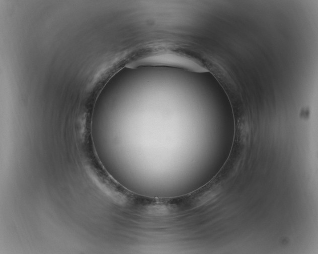 X0000115630404200911101442