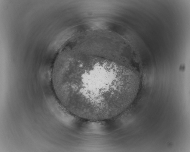X0000115630405200911101442