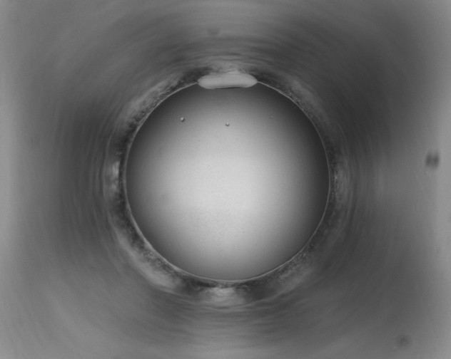 X0000115630406200911101442