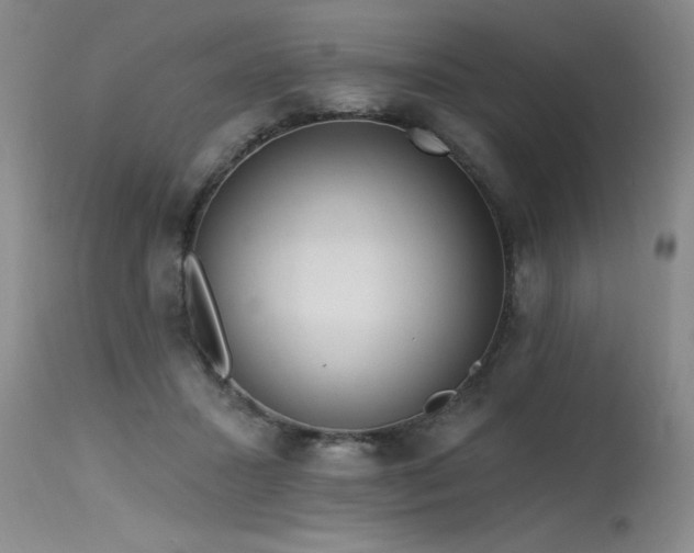 X0000115630407200911101442