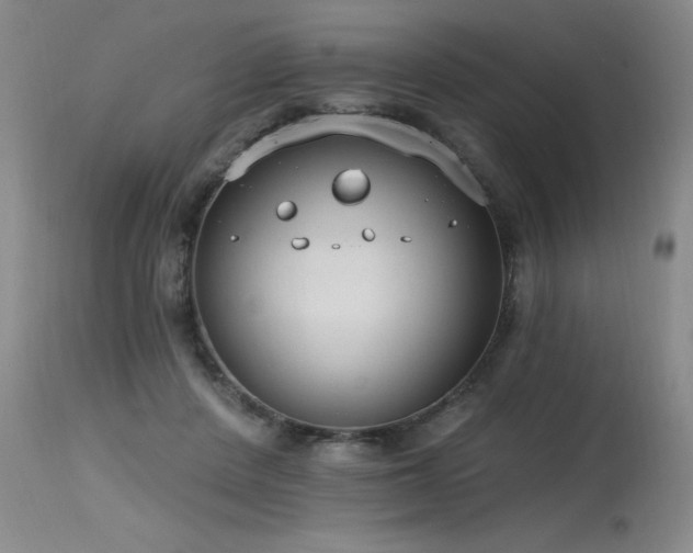 X0000115630408200911101442