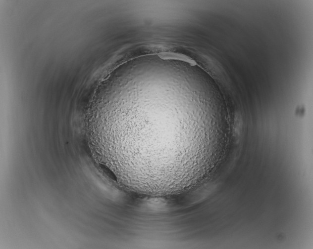 X0000115630409200911101442