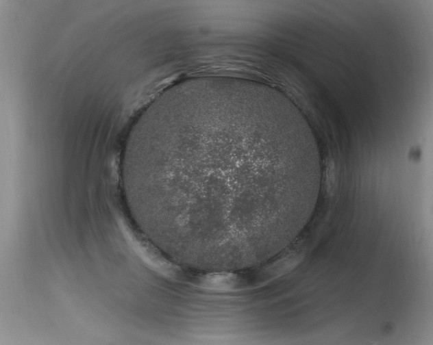 X0000115630410200911101442